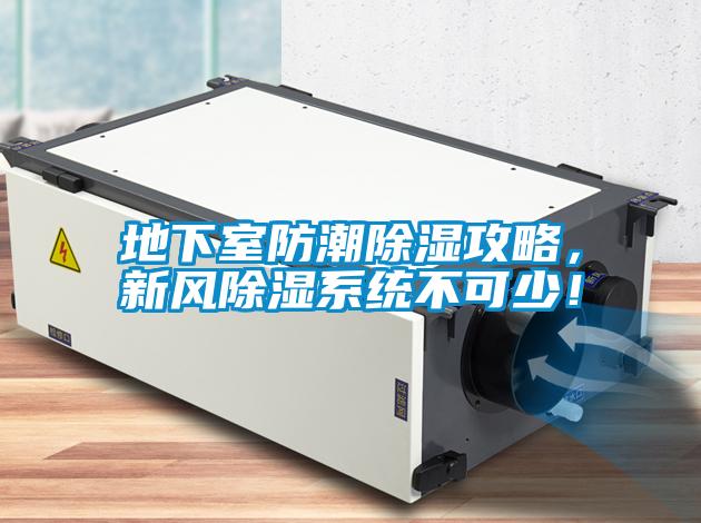地下室防潮除濕攻略,新風除濕系統不可少!