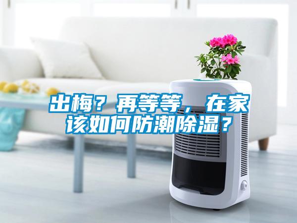 出梅？再等等，在家該如何防潮除濕？