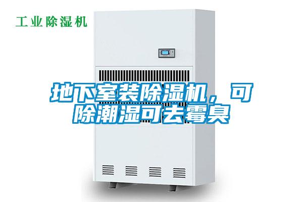 地下室裝除濕機，可除潮濕可去霉臭