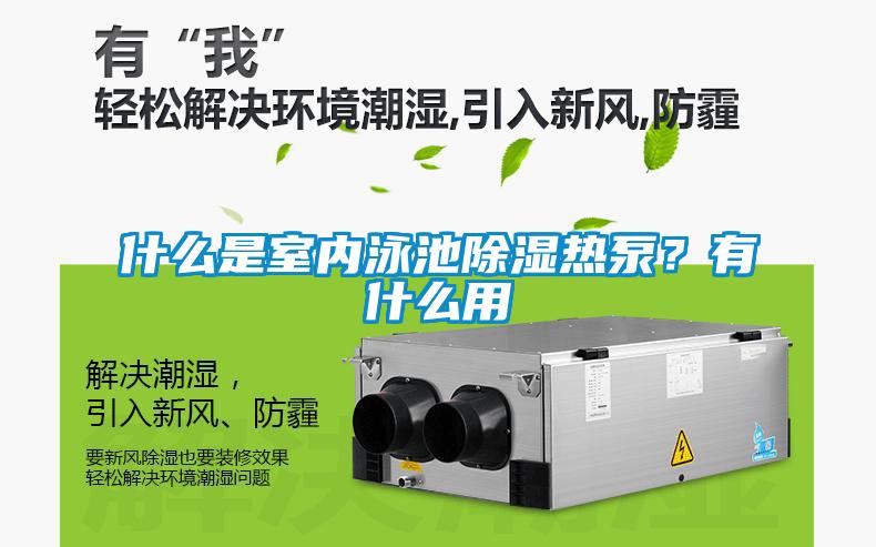什么是室內泳池除濕熱泵？有什么用