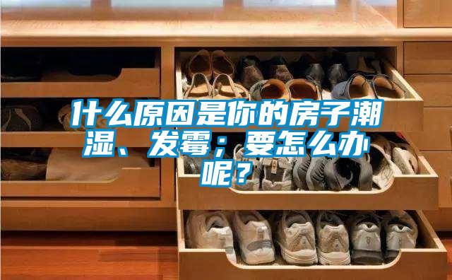 什么原因是你的房子潮濕、發(fā)霉；要怎么辦呢？