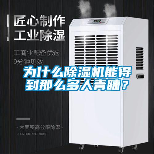 為什么除濕機能得到那么多人青睞？
