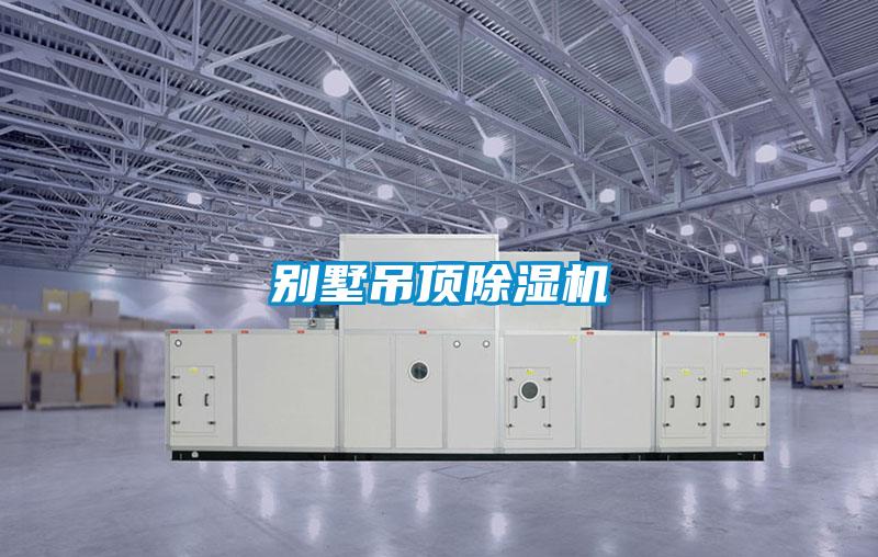 別墅吊頂除濕機