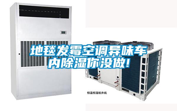 地毯發(fā)霉空調(diào)異味車(chē)內(nèi)除濕你沒(méi)做!
