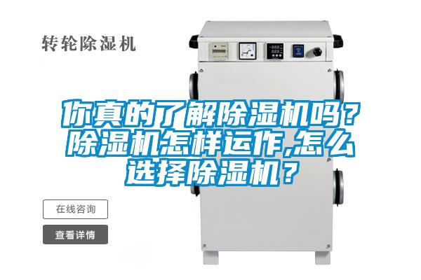 你真的了解除濕機嗎？除濕機怎樣運作,怎么選擇除濕機？