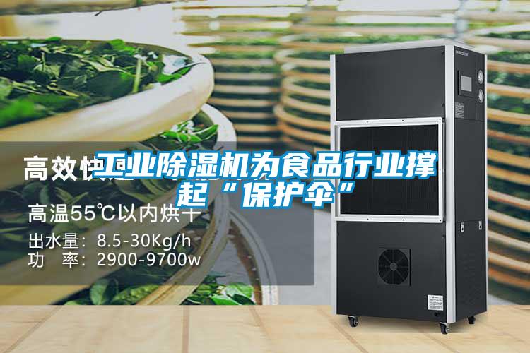 工業除濕機為食品行業撐起“保護傘”