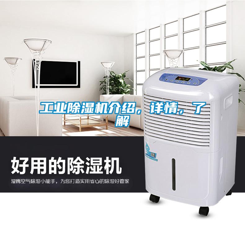 工業除濕機介紹，詳情，了解