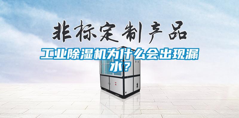 工業(yè)除濕機(jī)為什么會(huì)出現(xiàn)漏水？