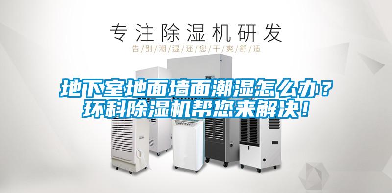 地下室地面墻面潮濕怎么辦?環科除濕機幫您來解決!