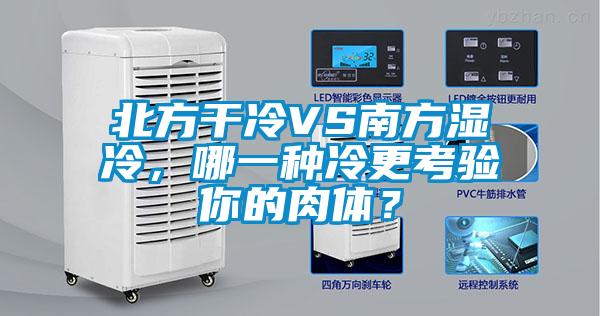 北方干冷VS南方濕冷，哪一種冷更考驗你的肉體？