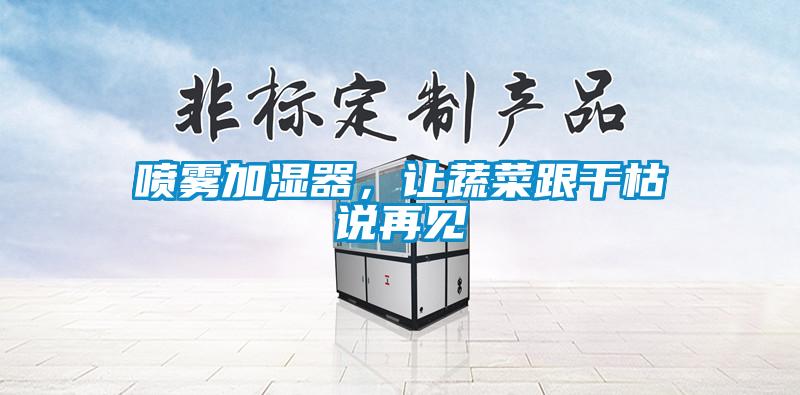 噴霧加濕器，讓蔬菜跟干枯說再見