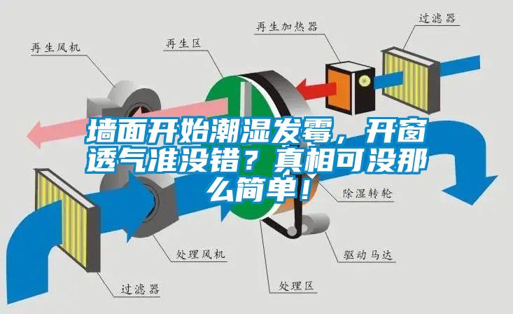 墻面開始潮濕發霉，開窗透氣準沒錯？真相可沒那么簡單！