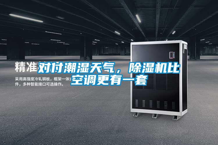對(duì)付潮濕天氣，除濕機(jī)比空調(diào)更有一套