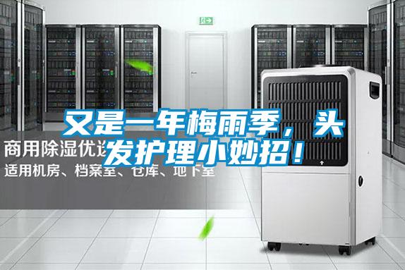 又是一年梅雨季，頭發護理小妙招！