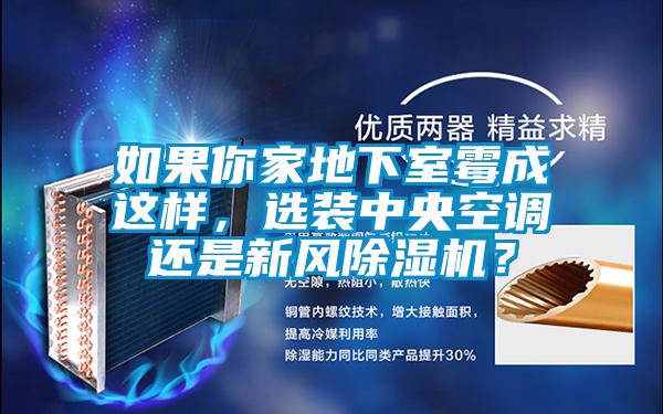 如果你家地下室霉成這樣，選裝中央空調還是新風除濕機？