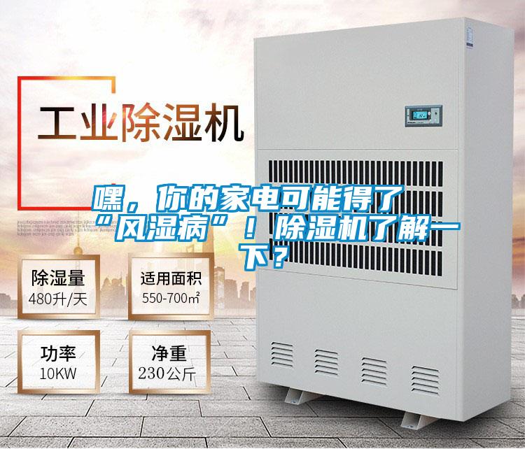 嘿，你的家電可能得了“風濕病”！除濕機了解一下？