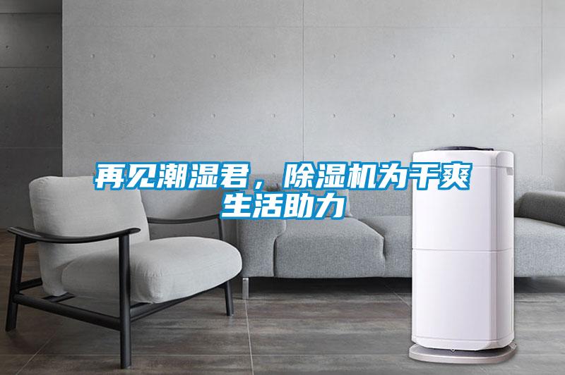再見潮濕君，除濕機為干爽生活助力