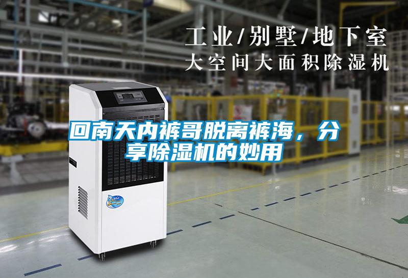 回南天內褲哥脫離褲海，分享除濕機的妙用