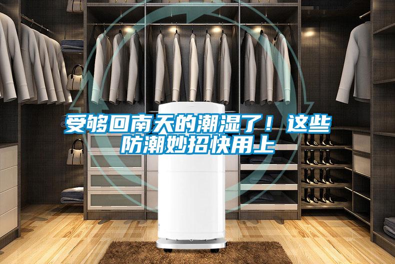 受夠回南天的潮濕了！這些防潮妙招快用上