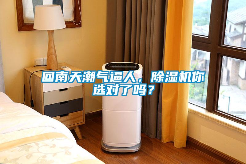 回南天潮氣逼人，除濕機你選對了嗎？