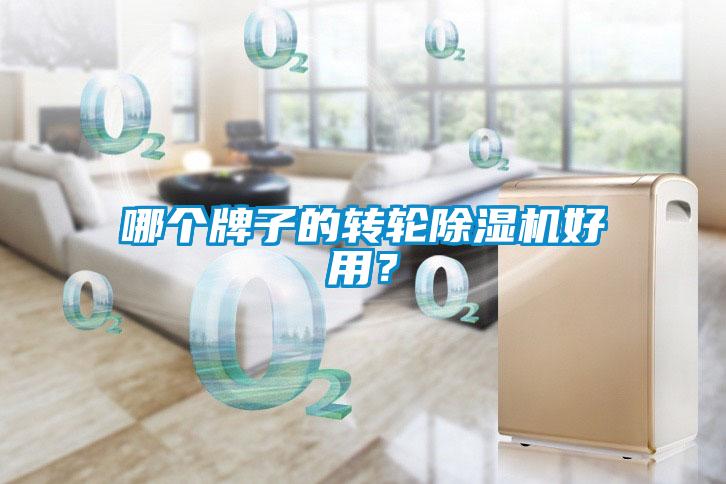 哪個牌子的轉(zhuǎn)輪除濕機好用？