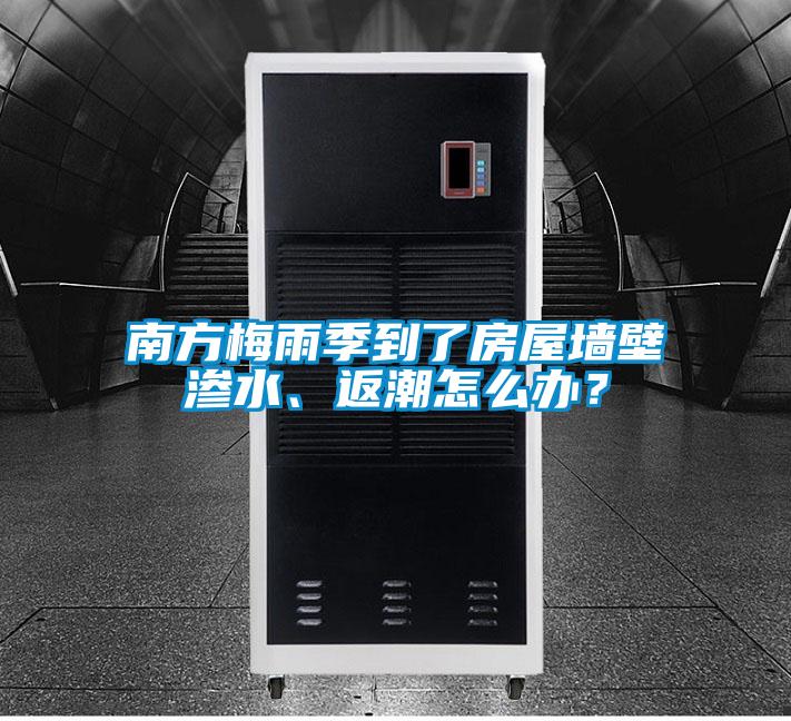 南方梅雨季到了房屋墻壁滲水、返潮怎么辦？