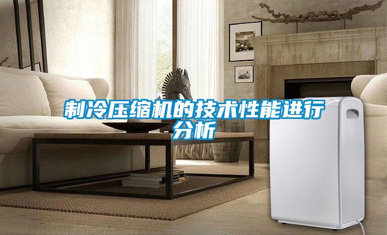 制冷壓縮機的技術(shù)性能進行分析