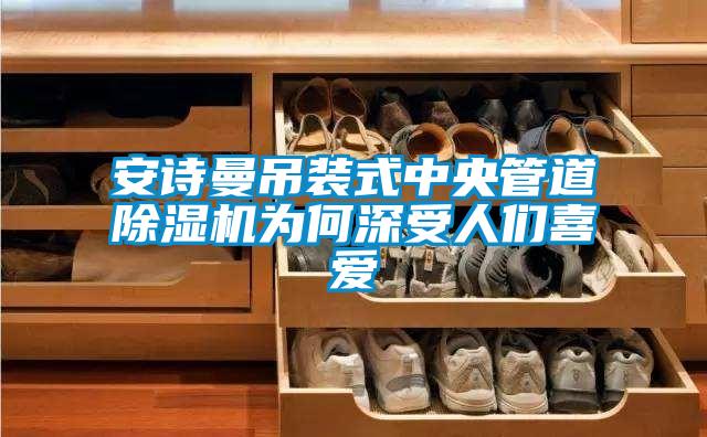 安詩(shī)曼吊裝式中央管道除濕機(jī)為何深受人們喜愛(ài)