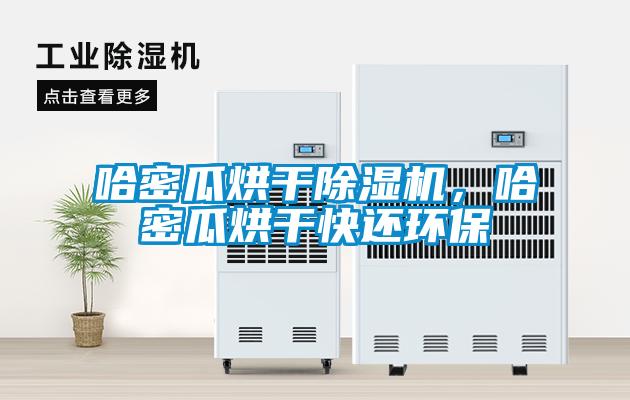 哈密瓜烘干除濕機，哈密瓜烘干快還環保
