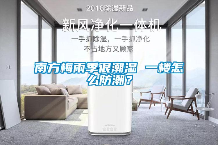 南方梅雨季很潮濕 一樓怎么防潮？