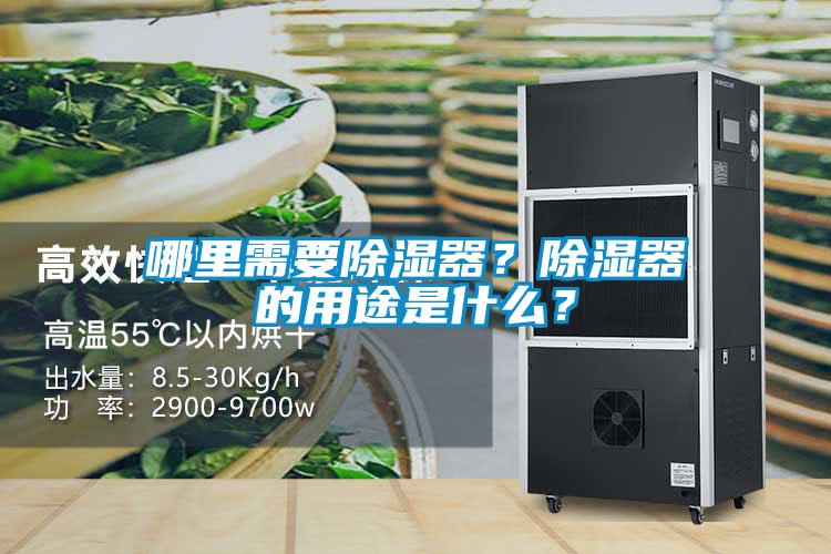 哪里需要除濕器？除濕器的用途是什么？