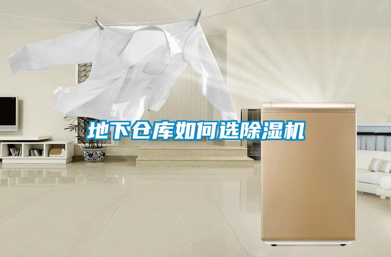 地下倉庫如何選除濕機(jī)