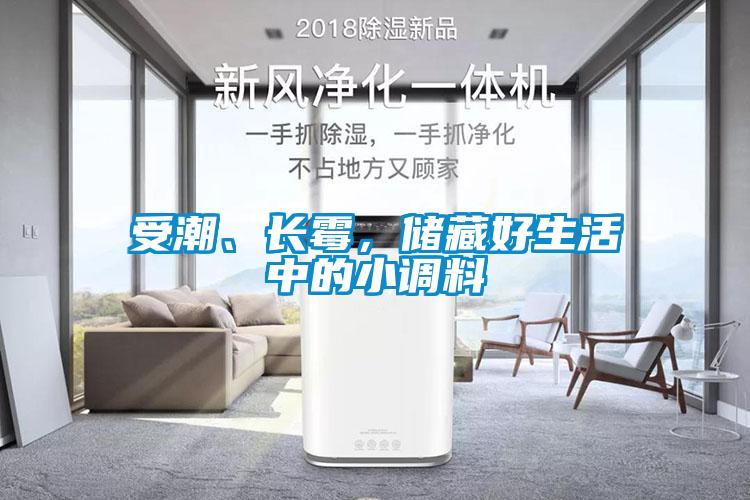 受潮、長霉,儲藏好生活中的小調料