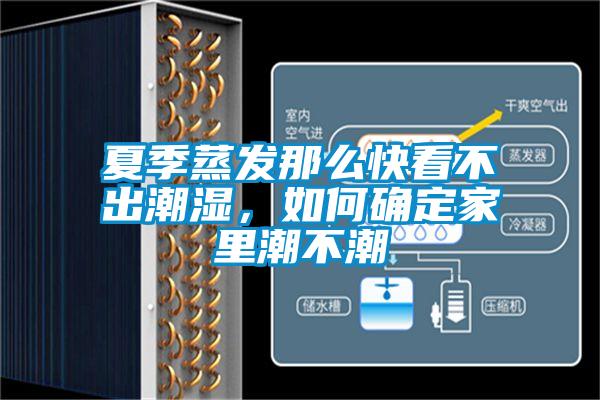 夏季蒸發那么快看不出潮濕，如何確定家里潮不潮