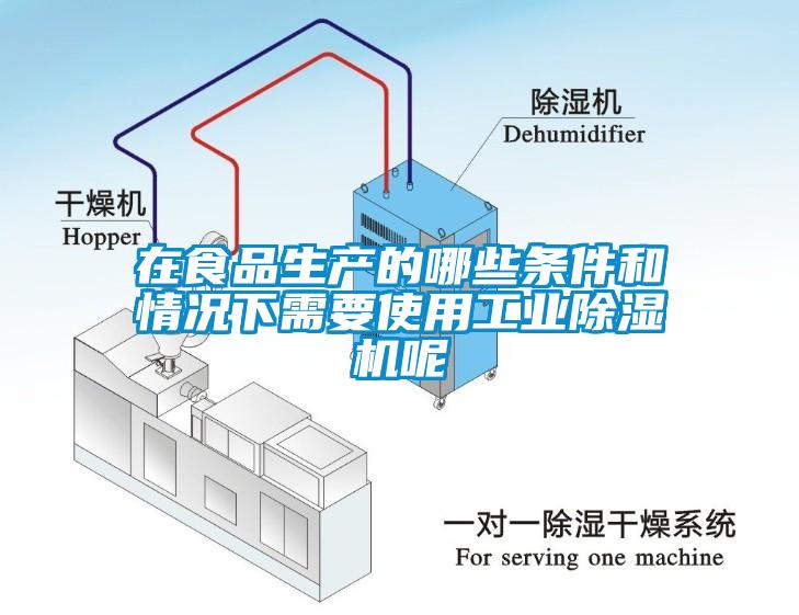 在食品生產的哪些條件和情況下需要使用工業除濕機呢