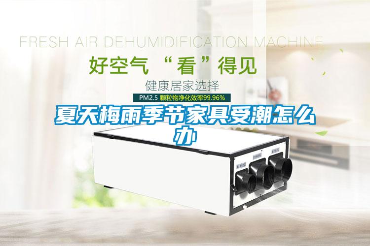 夏天梅雨季節家具受潮怎么辦