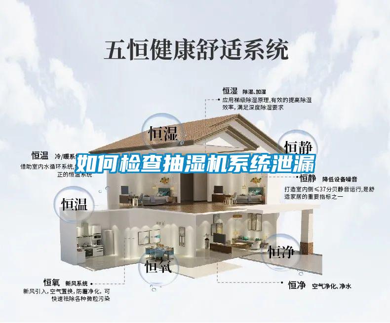 如何檢查抽濕機系統(tǒng)泄漏