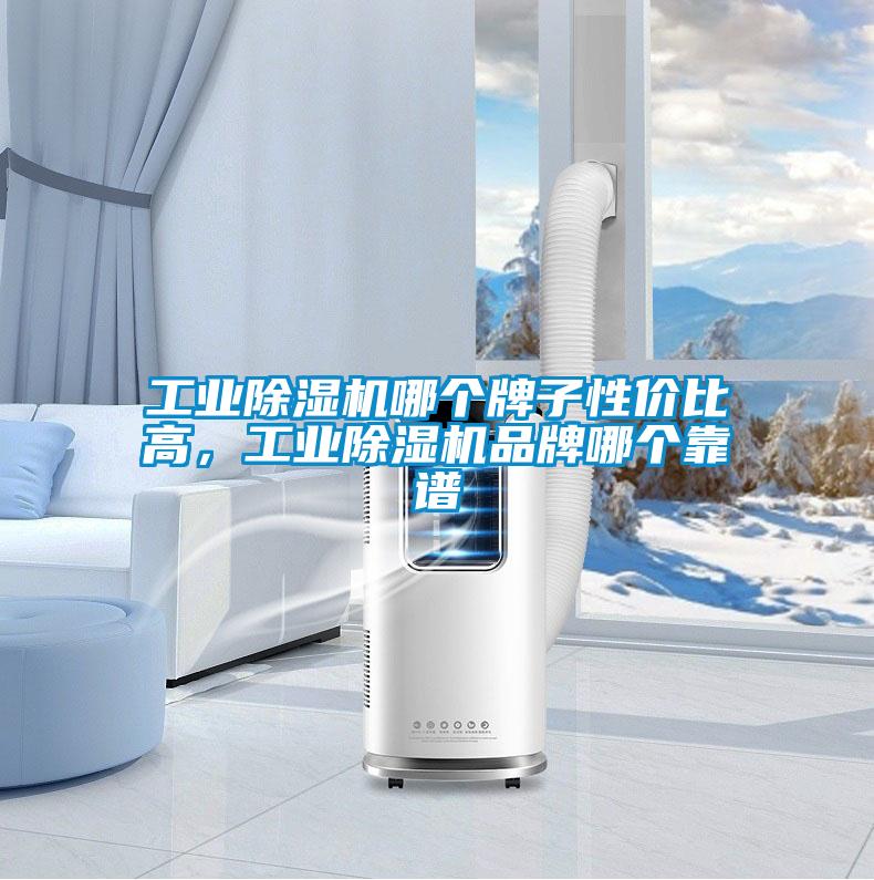 工業(yè)除濕機(jī)哪個(gè)牌子性價(jià)比高，工業(yè)除濕機(jī)品牌哪個(gè)靠譜
