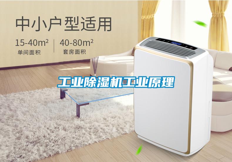 工業除濕機工業原理