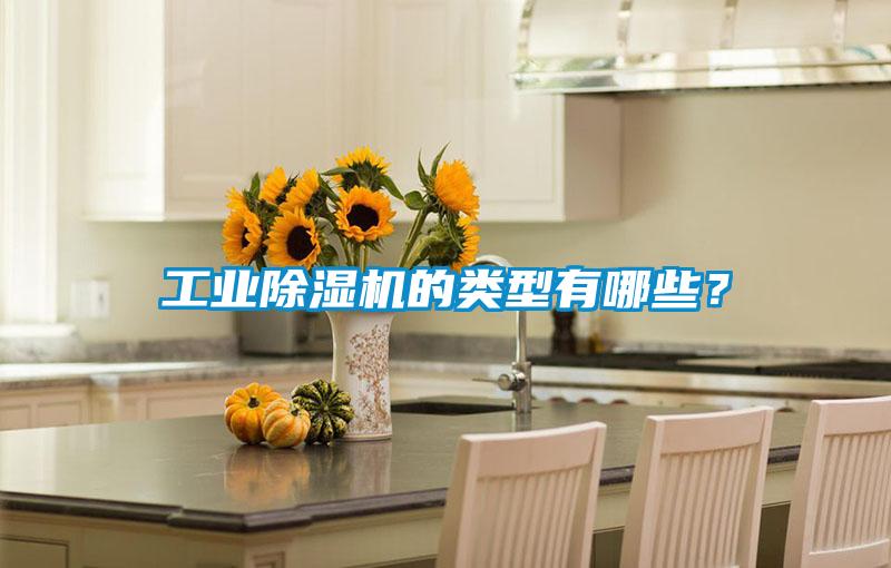 工業除濕機的類型有哪些？