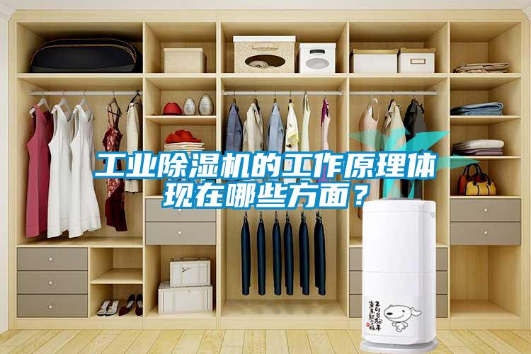 工業除濕機的工作原理體現在哪些方面？