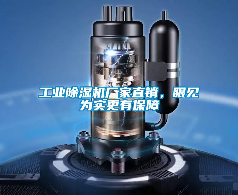工業(yè)除濕機廠家直銷，眼見為實更有保障