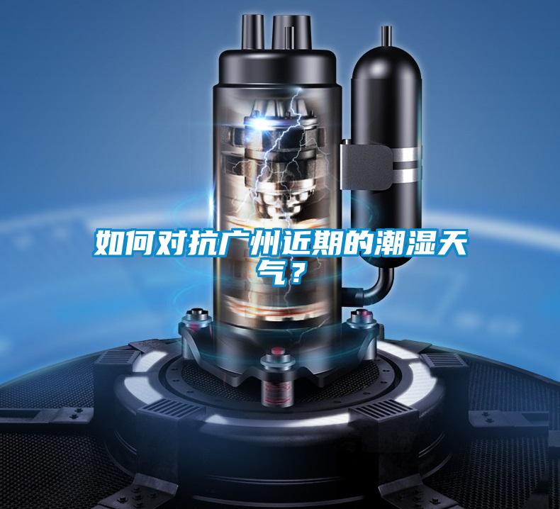 如何對抗廣州近期的潮濕天氣？