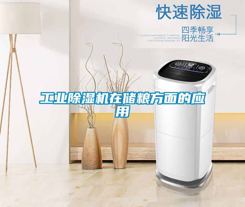 工業(yè)除濕機在儲糧方面的應用