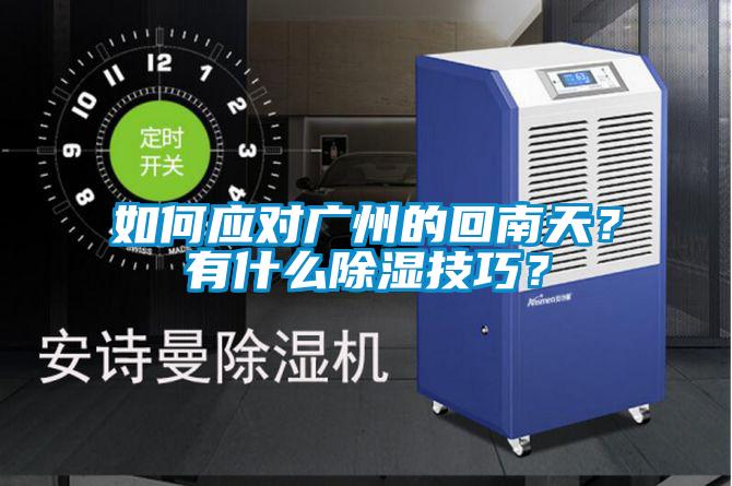 如何應對廣州的回南天？有什么除濕技巧？