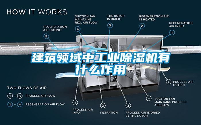 建筑領域中工業除濕機有什么作用