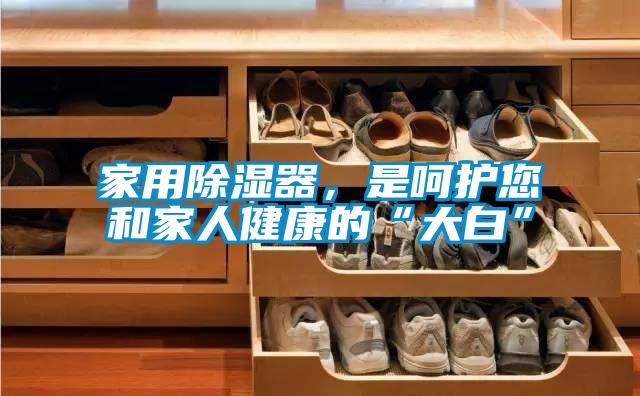 家用除濕器，是呵護您和家人健康的“大白”