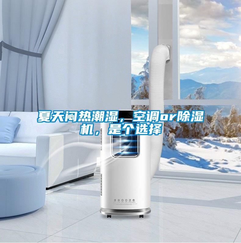 夏天悶熱潮濕，空調or除濕機，是個選擇