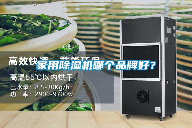 家用除濕機哪個品牌好？