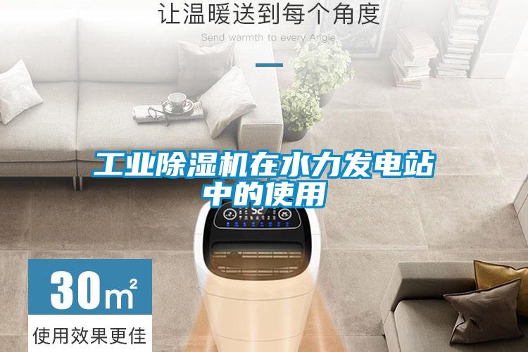 工業除濕機在水力發電站中的使用
